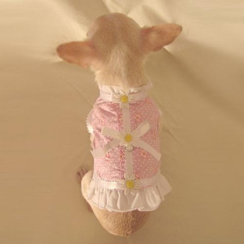 Pink Delicate Daisy Dog Harness Vest Set